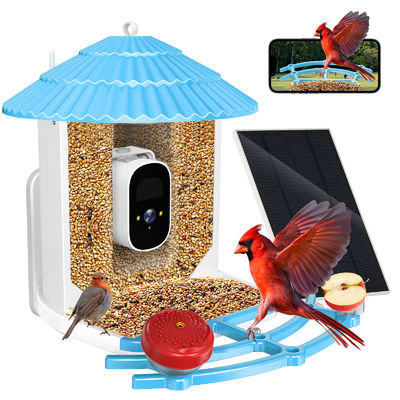 kopen IP66 Waterdicht 4MP Smart Bird Feeder 2.5L Wildlife Smart Bird Camera online vervaardiging