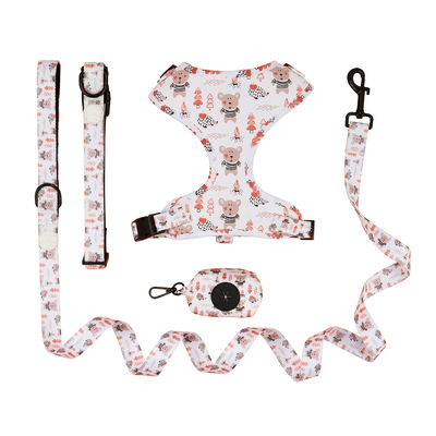 kopen Gepersonaliseerde schattig honden kraag leid set XL honden leid voor grote honden online vervaardiging