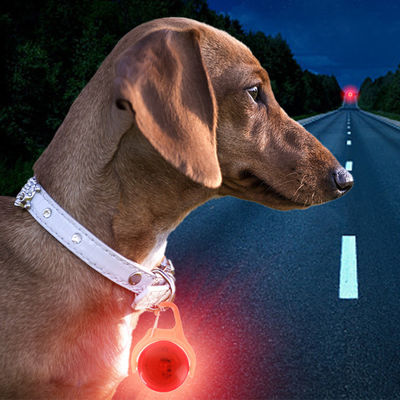 kopen Wit Blauw Groen Silicone Flitsende Hondenkraag Tag Bloemige Honden Identiteitstags online vervaardiging