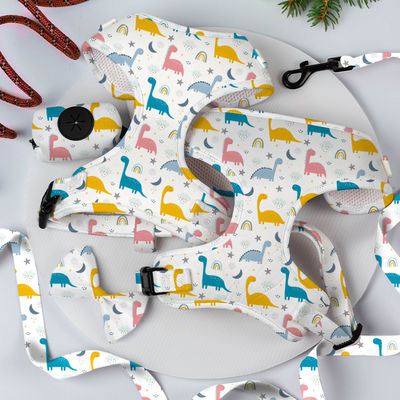 kopen Omkeerbare kleine honden harnas en leiband set luxe mode honden wandel set online vervaardiging