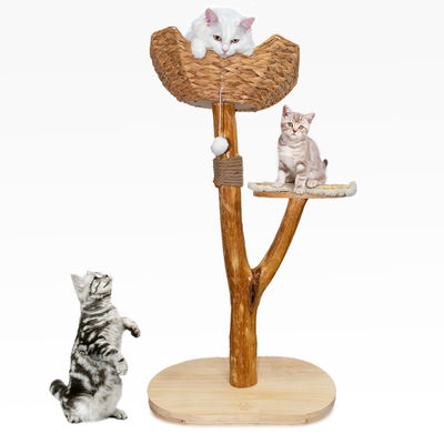 kopen Natuurlijke houten kattentoren met meerdere niveaus Modern ontwerp voor een gemakkelijke beklimming door kleine en oude katten online vervaardiging
