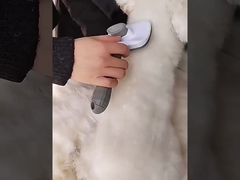 Blauwe zelfreinigende hondenborstel hondenhaar verwijderder met massagefunctie