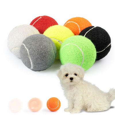 Zwarte grijze onverwoestbare tennisbal hond 2,5