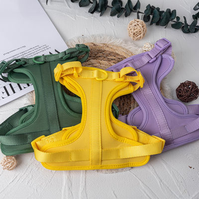 Neopreen gepersonaliseerde troeteldier hond harnas lijn en halsband voor verstelbare pasvorm S / M / L