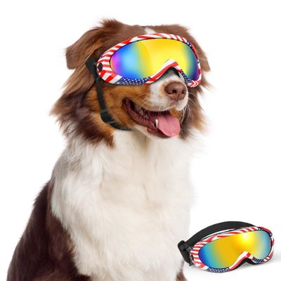 Hond zonnebrillen Huisdierbrillen Oogkleding voor sneeuw Strand Motorfiets Hondbrillen Ras