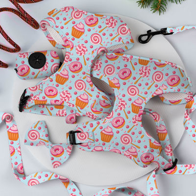 XS Hondenharness And Leash Set Sublimatie Decoratie Schal Cat Harness Set