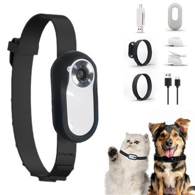 Outdoor Sport Kamerband voor huisdieren ABS 1920*1080 Kattencameraband