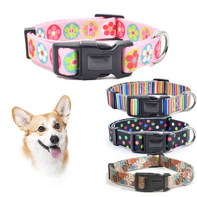 Modieus Nylon Buckle Hondenkraag S M L Breakaway Kattenkraag Op maat