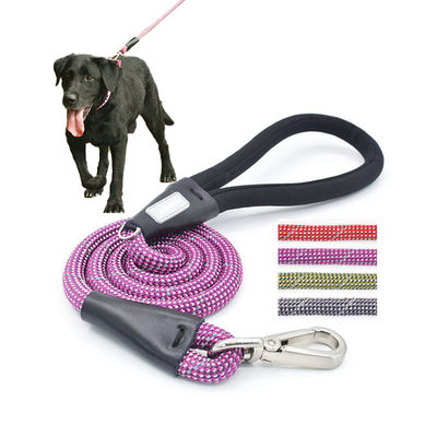 Paarse hond wandelband kleurrijke huisdier wandeling hardlopen nylon slip lood dubbel touw
