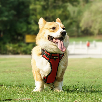 Waterdicht Hi Vis Harness voor honden LED Light Up Dog Harness XS-XL