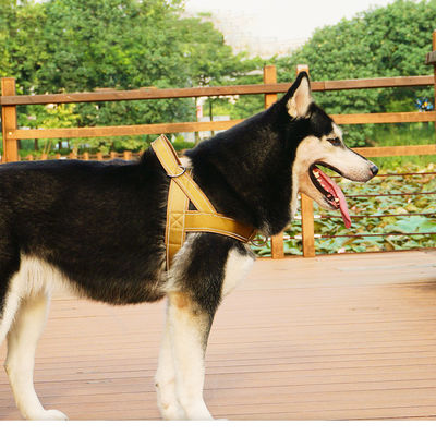 Oem Odm Custom Dog Accessoires Leash And Harness Collar Tactische ontwerper Custom Safety Pet Dog Harness Set Dog Pet Harness
