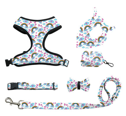 Gepersonaliseerde Custom Dog Cat Harness Sets Verstelbaar Geen Trek Luxe Designer Kraag en Leash Set met aangepaste kleuren
