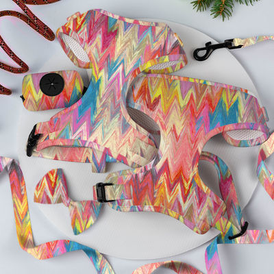 Neopreen Custom Color Dog Harness Sets met Luxe Designers Metal Buckle Leash en Kraag