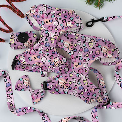 Verstelbare Luxe Neoprene Mesh Soft Pet Dog Harness Set met gepersonaliseerde Custom Logo Leash en OEM/ODM geaccepteerd