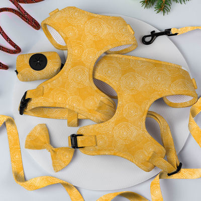 Comfortabele gele lijn kraag Harness Set Neopreen puppy kraag en lood Set