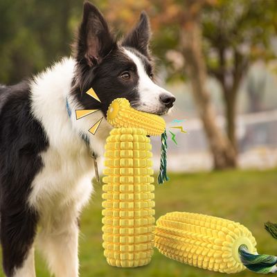 Toxic Free Squeaky Dog Toys TPR kauw speelgoed voor agressieve kauwers