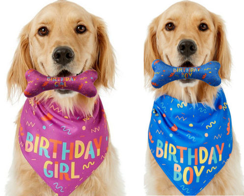 Hond Verjaardag Stocked Gelegenheid Bandana Bot Kauw Speelgoed Set Huisdier Custom Printed Bandanas
